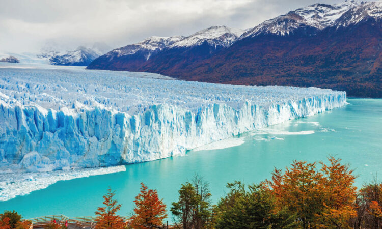 Delapaztur Argentina